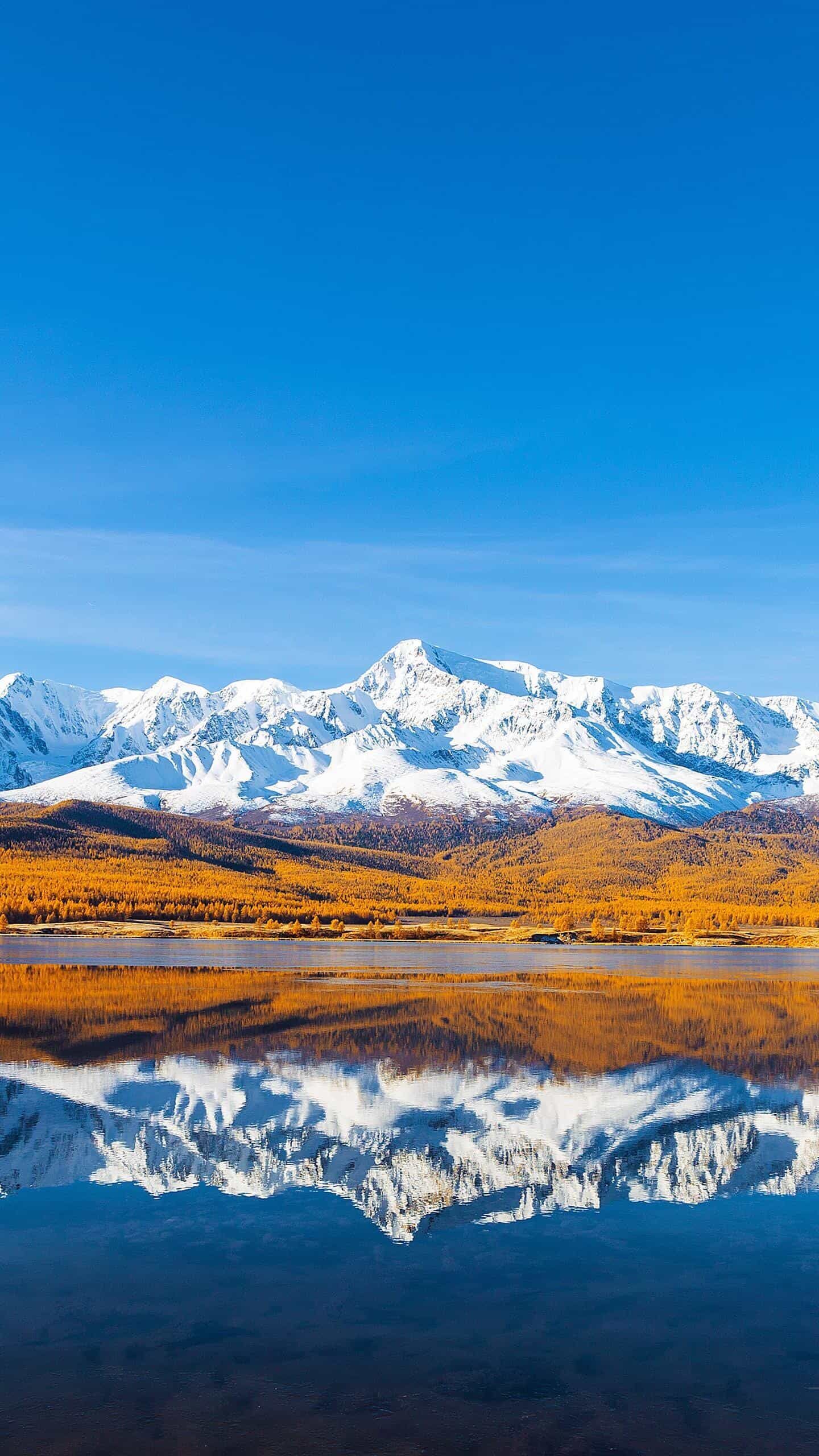  10分钟搞定!手把手教你服务器安装Linux软件,新手也能变大神!